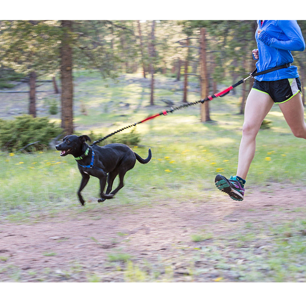 Running with dog and Iron Doggy leash
