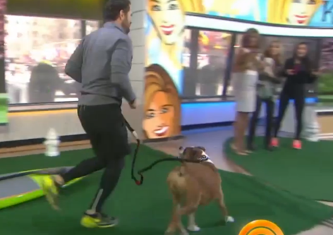 Today Show Demos Iron Doggy™ Hands-Free Leash