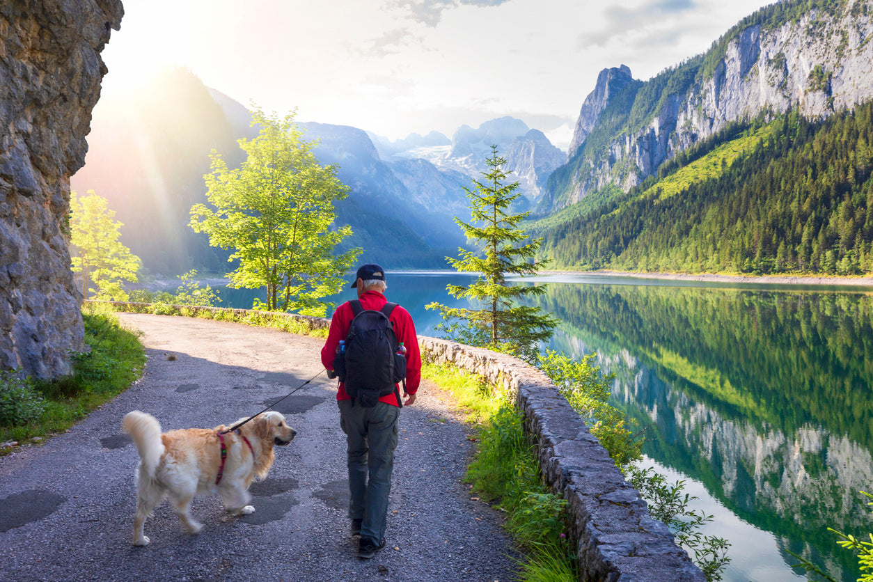 man-walking-with-his-dog-in-a-scenic-view
