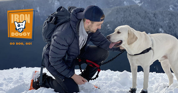 Iron Doggy™ - The Original Hands-Free Dog Leash