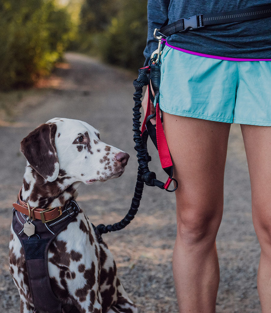 Iron Doggy™ The Original HandsFree Dog Leash
