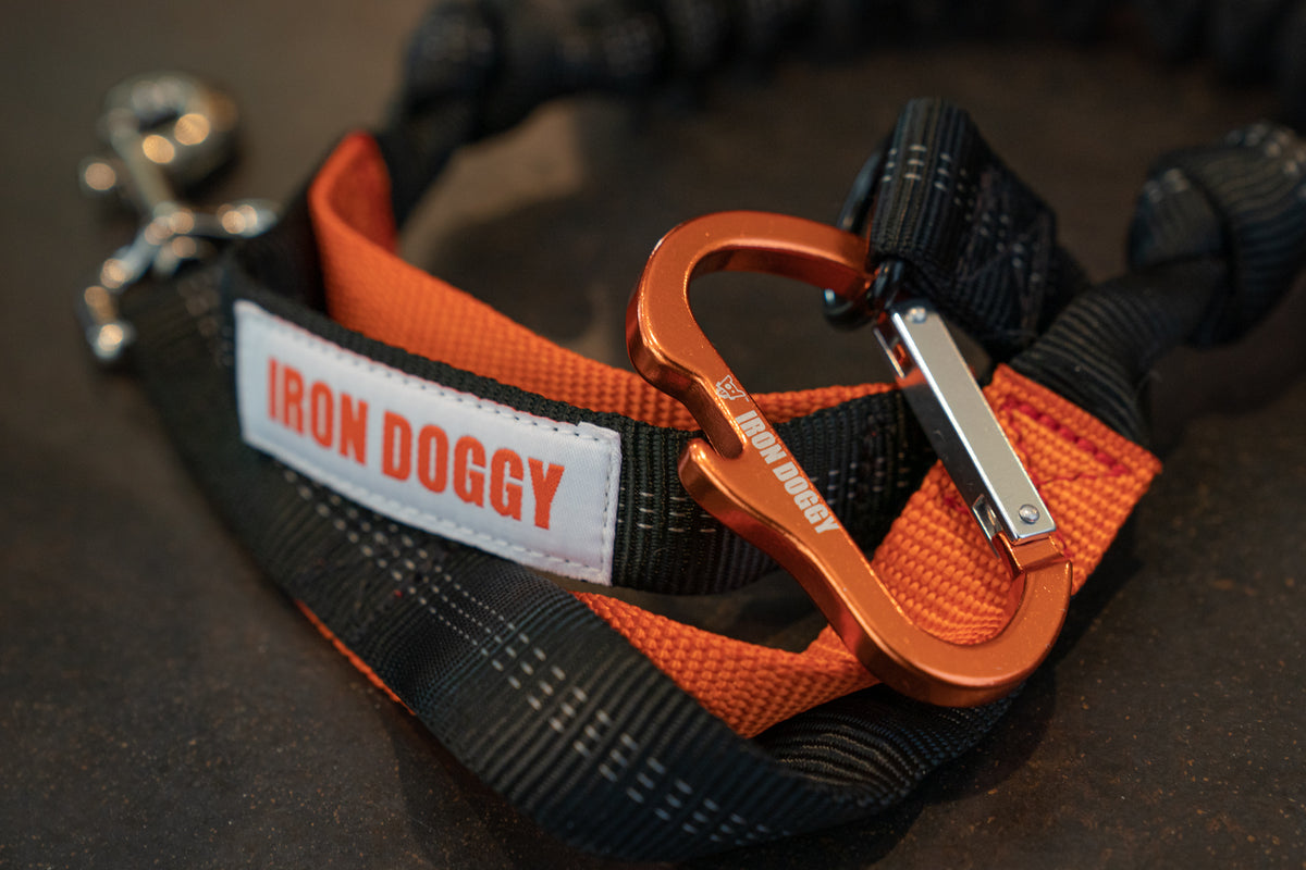 Iron Doggy-Sidekick-Hands Free Leash with Orange Carabiner
